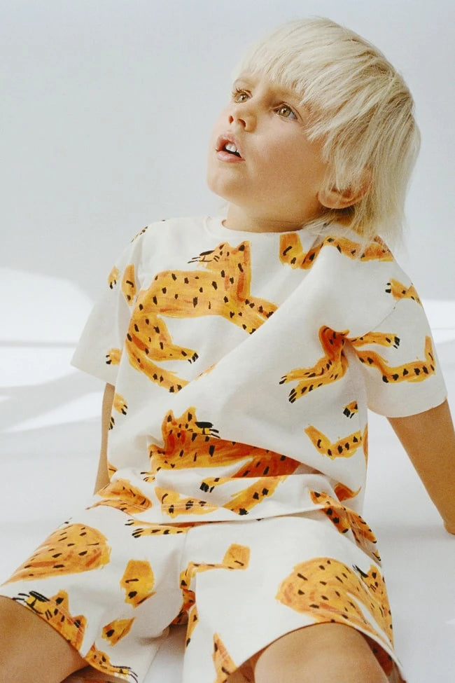 Little Lion Set