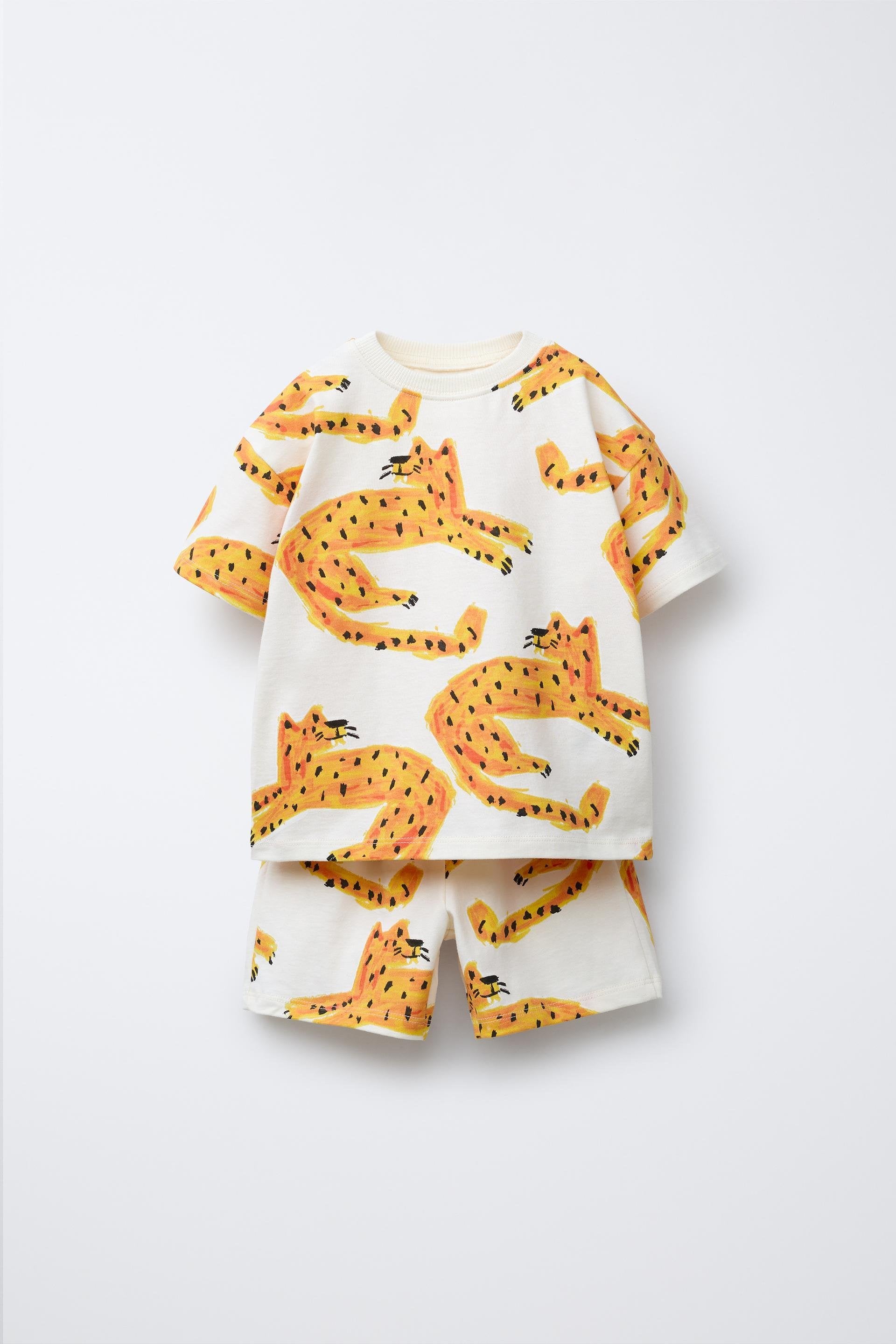 Little Lion Set